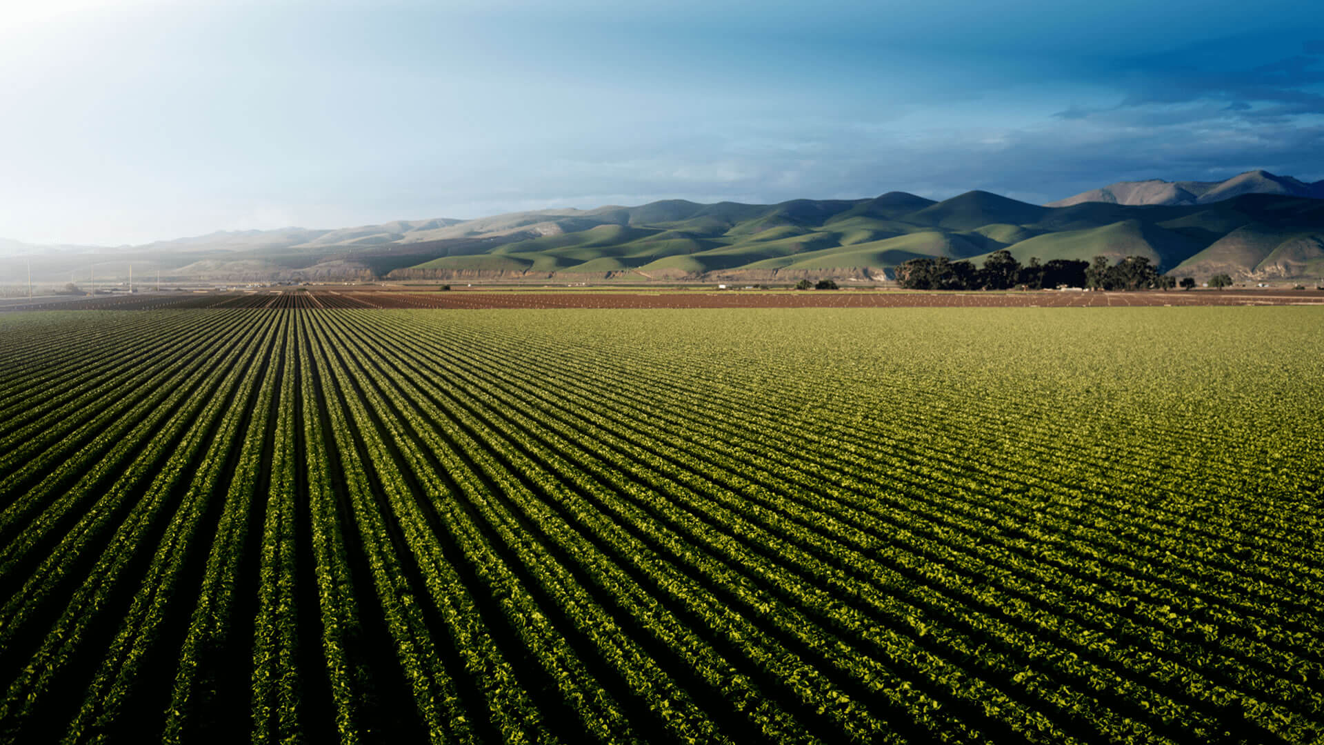 Agricultura Digital